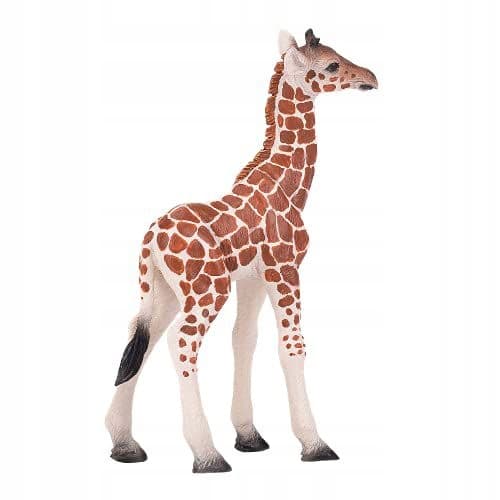 GIRAFFE – YOUNG
