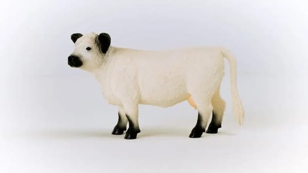 GALLOWAY COW (FIGURINE)