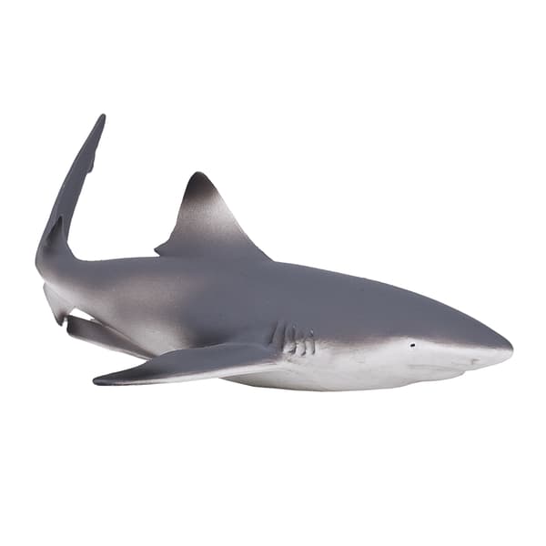 Mojo Blackfin Shark