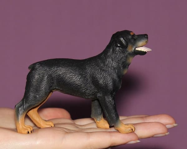 A Rottweiler dog, L