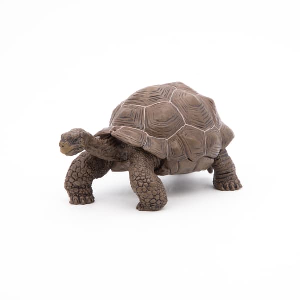 GALAPAGOS TURTLE [FIGURINE]