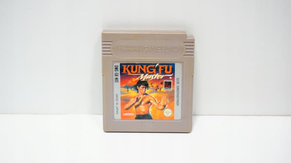 Kung'Fu Master for the Nintendo Game Boy