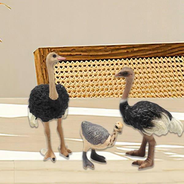 3x Bird models Ostrich model Animal figurines Sculptures Science Educational