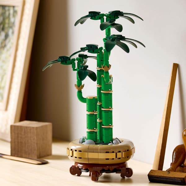 LEGO Botanical Collection 10344 Dracaena sanderi: Lucky Bamboo