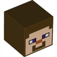 LEGO Minecraft Steve min140 minifigure