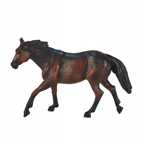 Mojo, a brown Quarter Horse