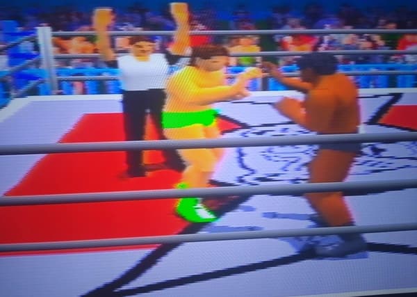 Power Move Pro Wrestling PSX – DISC ONLY – PLEASE READ THE DESCRIPTION!!!