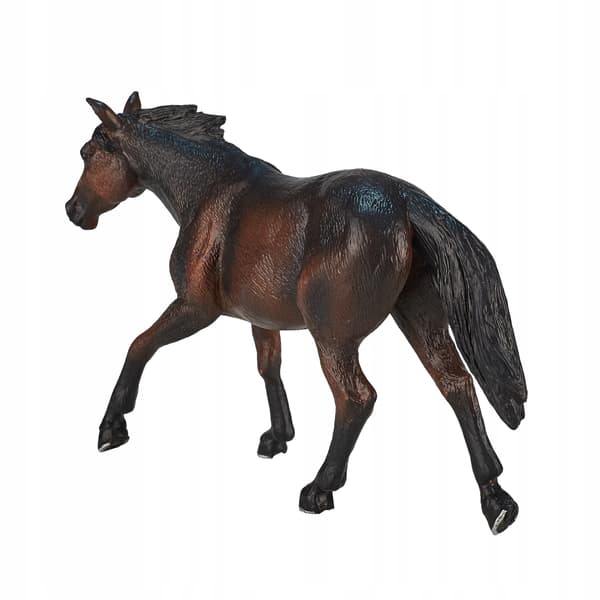 Mojo, a brown Quarter Horse