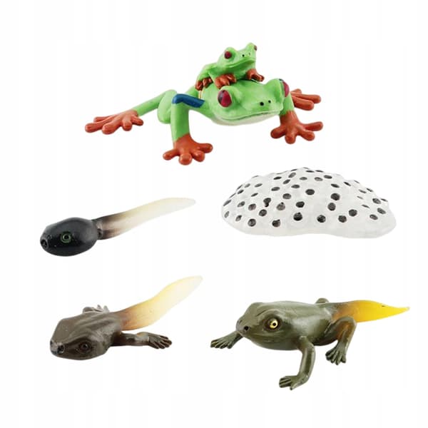 Life cycle Animal figures Toy for developmental play Early Style A