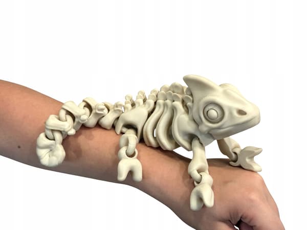 3D Chameleon – a skeleton with a movable, articulated body and legs
