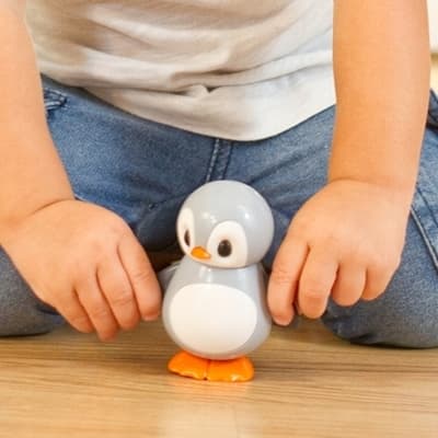 16 penguins | C5237