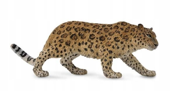 AMUR LEOPARD, COLLECTA