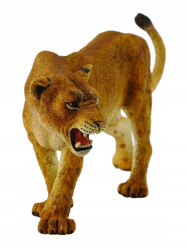 African lioness L