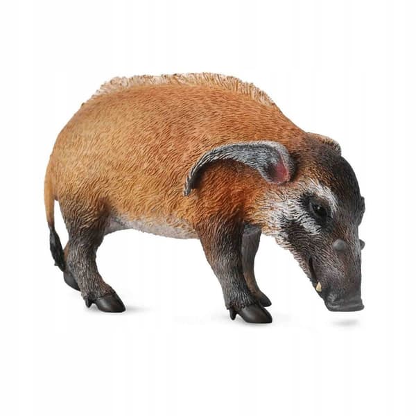 CollectA 88554 River Pig, size: L (004-88554)