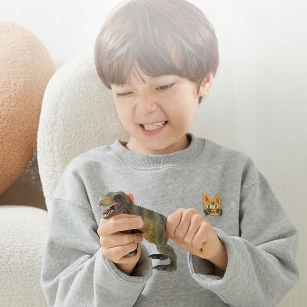 Mideer 24-piece Dinosaur Collector’s Set
