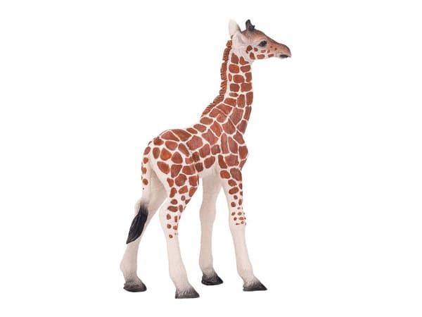 GIRAFFE – YOUNG