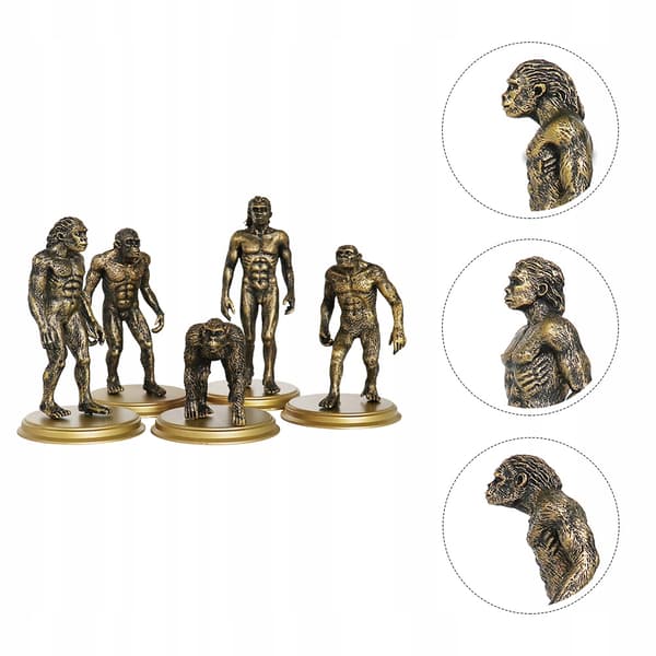 5-PIECE CREATIVE TOY: HUMAN MODEL – EVOLUTION