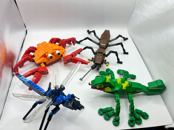 LEGO 4101 Creator Wild Collection