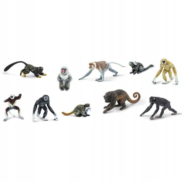 SAFARI LTD PRIMATES FIGURINES SET – PRIMATES – Montessori