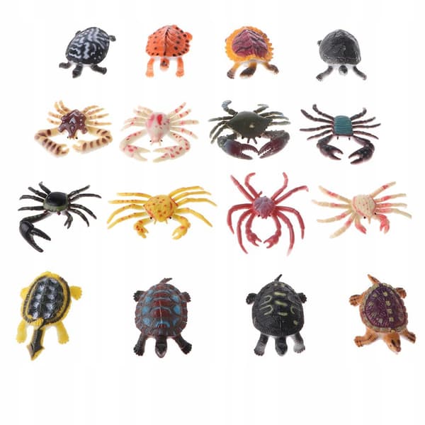 16 PVC Tortoise-themed Educational Figures for Children