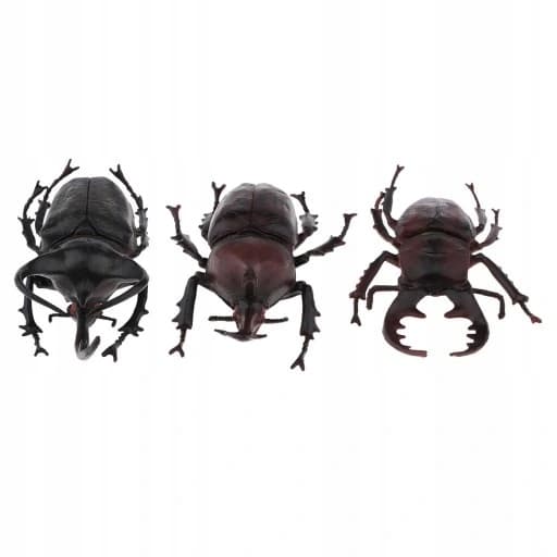 3x Lifelike Beetle Figures – Insects