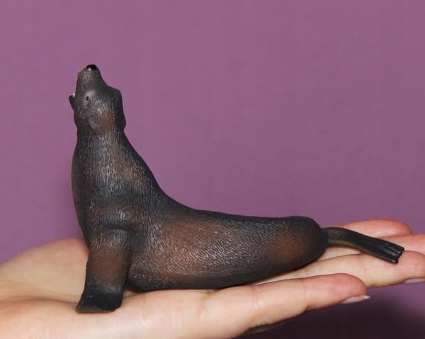 Sea lion L