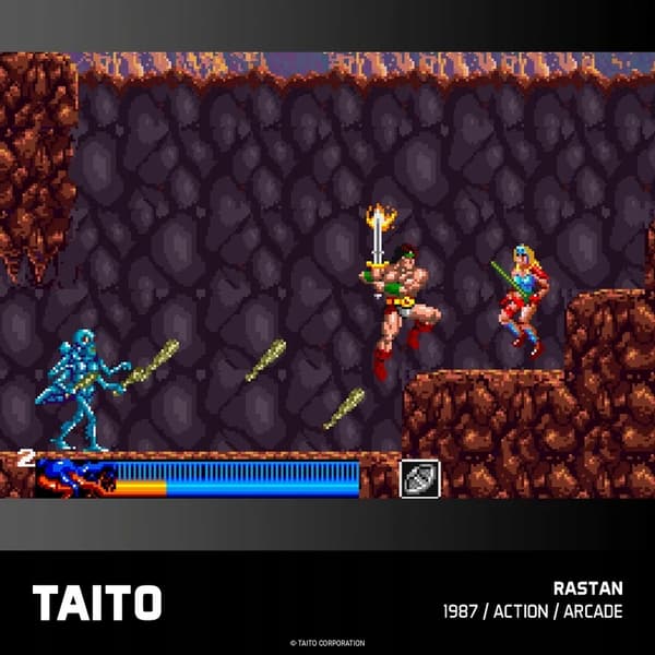 Evercade #18, Taito Arcade 2, 9-in-1, Retro, Multi-Game, Game Pack