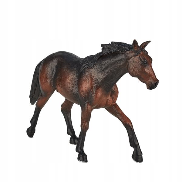 Mojo, a brown Quarter Horse