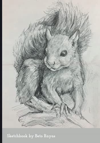 Sketchbook: A great tool for designing beautiful compositions and practising sketching