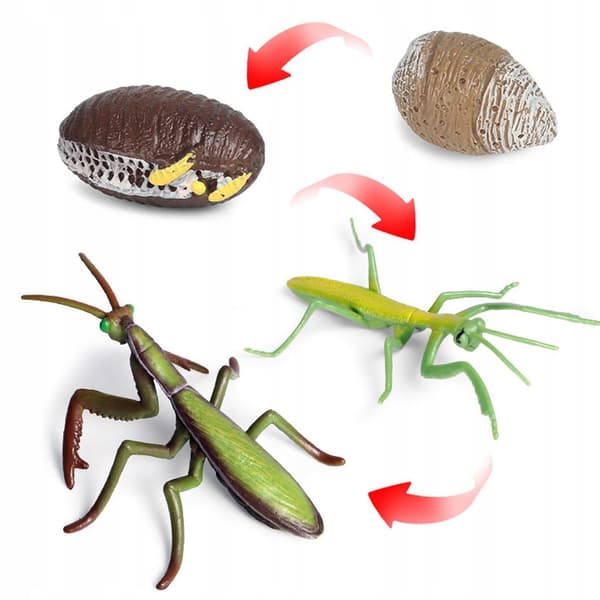 Animals Simulation Life cycle Life Action figures Figure