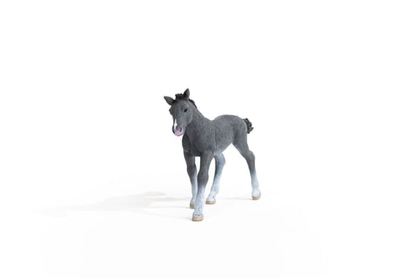 A THRAKEN FOAL