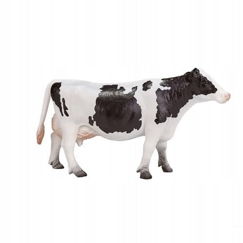 Mojo, the Holstein cow