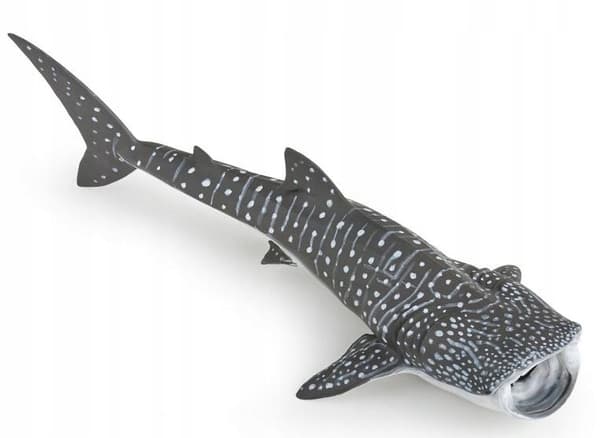 Whale shark / PAPO