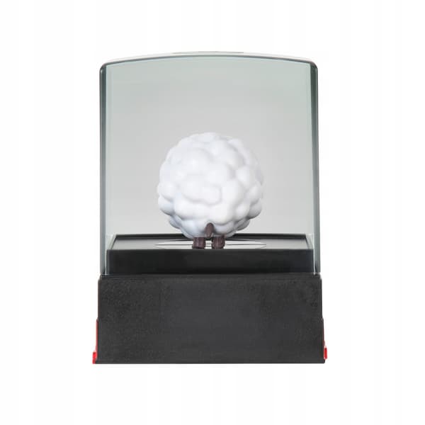 POKEMON Battle Figure: Wooloo Case PKW3219