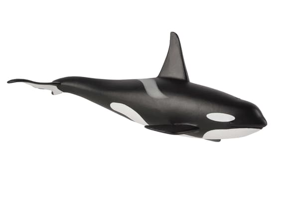 Mojo the Male Orca Figurine