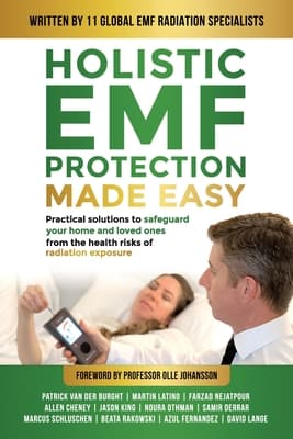 Holistic EMF Protection Made Easy: Practical Solutions to Safeguard Your