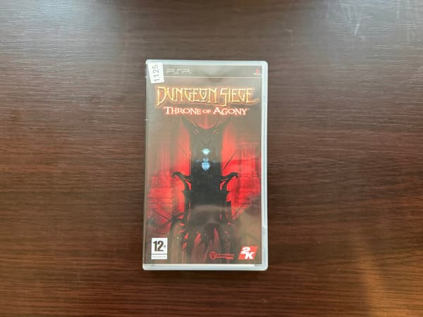 Dungeon Siege: Throne of Agony (PSP)