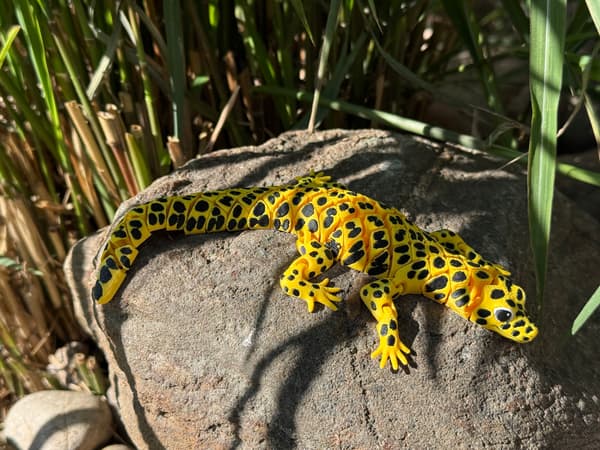 3D Leopard Gecko – a realistic segmented figurine, terrarium decoration