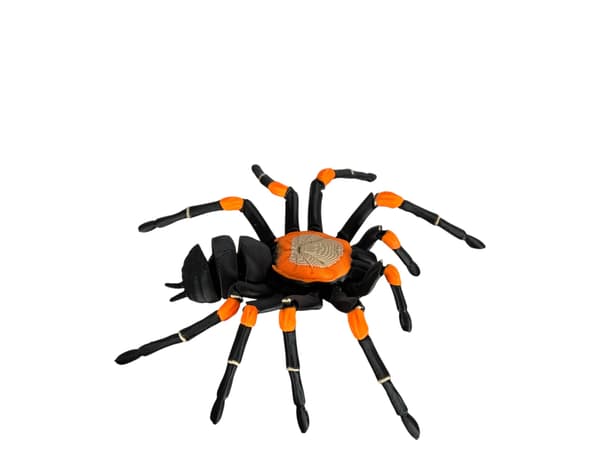 Tarantula 3D – a realistic, articulated spider, a unique figurine