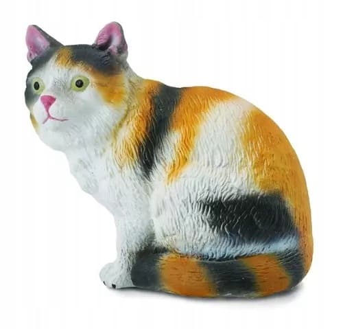 A three-coloured domestic cat, sitting, S.