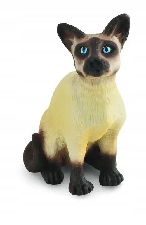 A Siamese cat sitting, S.