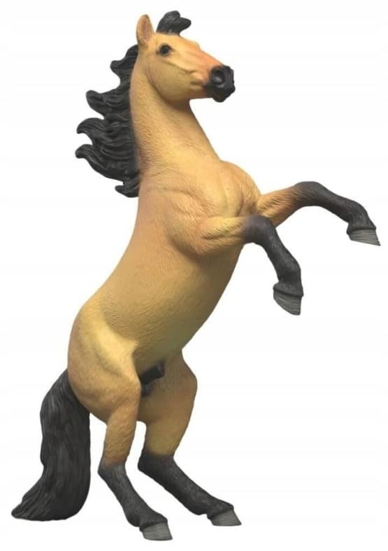 A mustang stallion