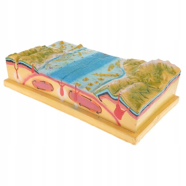Scientific Terrain Plate Tectonics Model Kit | Vibrant colours for easy identification