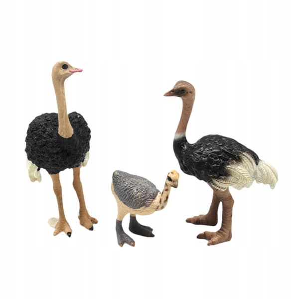 3x Bird models Ostrich model Animal figurines Sculptures Science Educational