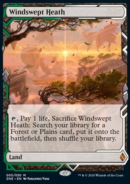 Magic: The Gathering Windswept Heath