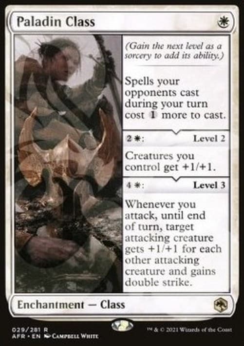 Magic: The Gathering Paladin Class