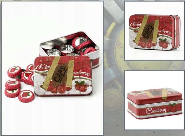 Fallout ‘NUKA CRANBERRY’ Collector’s Edition Console