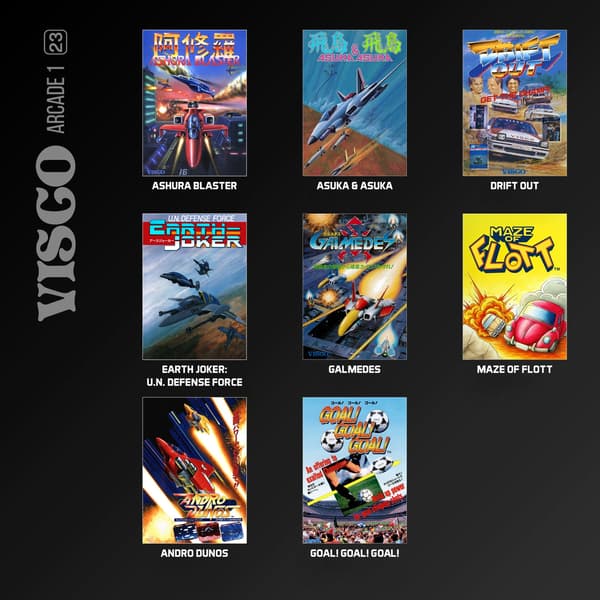 Visco Arcade 1, Evercade and 8 games!