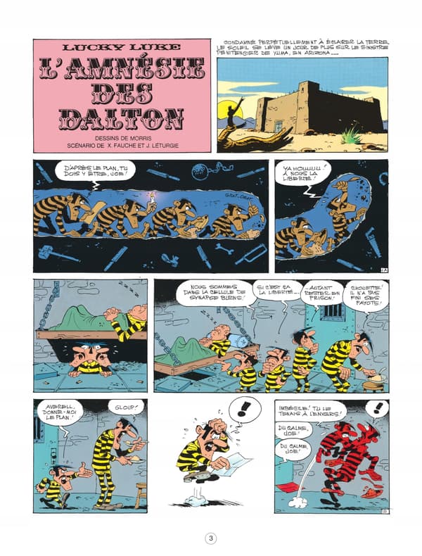 Lucky Luke – Volume 29 – The Daltons’ Amnesia