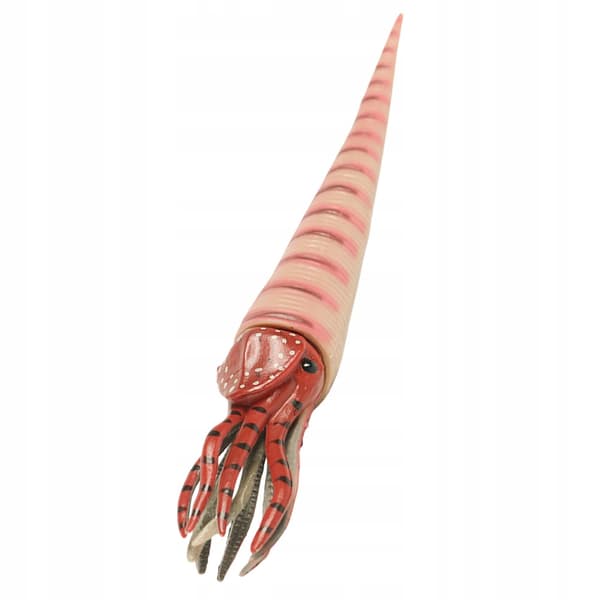 PLASTIC ORTHOCERAS MODEL – CHILDREN’S TOY AND DECORATION